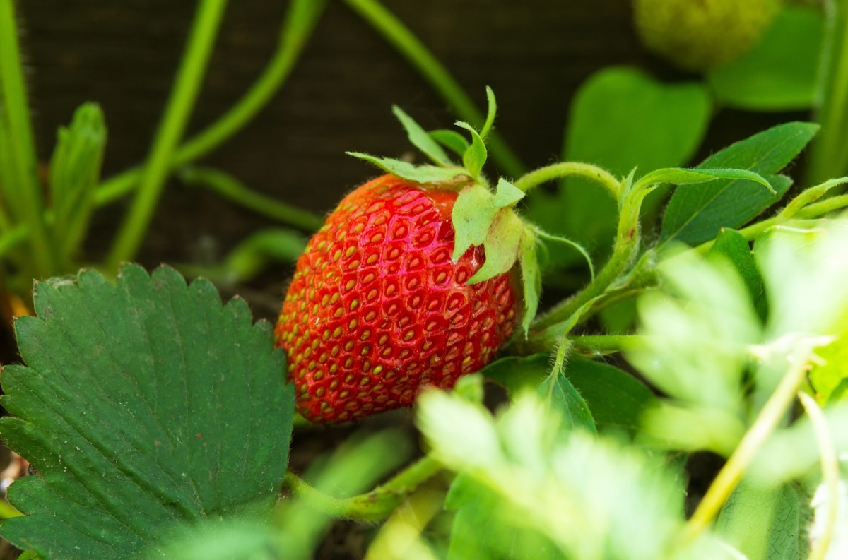 Nutrientes Especiales historia de nuestra empresa_2